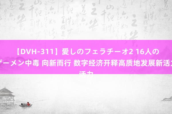 【DVH-311】愛しのフェラチーオ2 16人のザーメン中毒 向新而行 数字经济开释高质地发展新活力