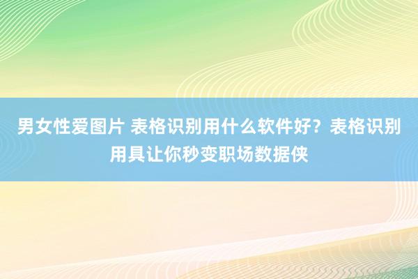 男女性爱图片 表格识别用什么软件好？表格识别用具让你秒变职场数据侠