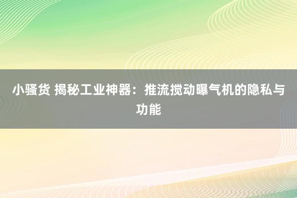 小骚货 揭秘工业神器：推流搅动曝气机的隐私与功能