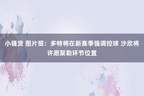 小骚货 图片报：多特将在新赛季强调控球 沙欣将许愿聚勒环节位置