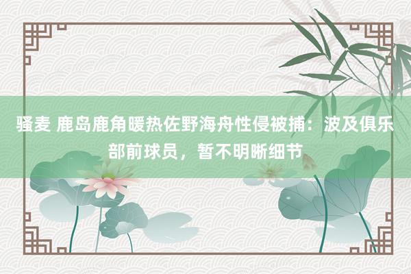 骚麦 鹿岛鹿角暖热佐野海舟性侵被捕：波及俱乐部前球员，暂不明晰细节