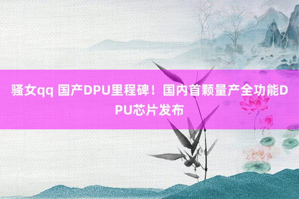 骚女qq 国产DPU里程碑！国内首颗量产全功能DPU芯片发布