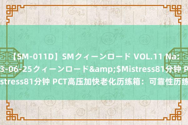 【SM-011D】SMクィーンロード VOL.11 Na:Na</a>2013-06-25クィーンロード&$Mistress81分钟 PCT高压加快老化历练箱：可靠性历练的过劲助手