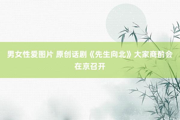 男女性爱图片 原创话剧《先生向北》大家商酌会在京召开