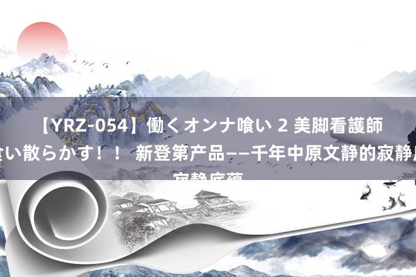 【YRZ-054】働くオンナ喰い 2 美脚看護師を食い散らかす！！ 新登第产品——千年中原文静的寂静底蕴