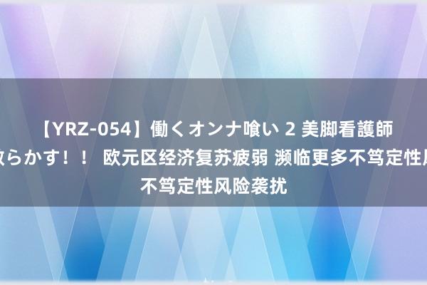 【YRZ-054】働くオンナ喰い 2 美脚看護師を食い散らかす！！ 欧元区经济复苏疲弱 濒临更多不笃定性风险袭扰