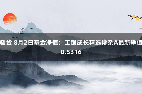 骚货 8月2日基金净值：工银成长精选搀杂A最新净值0.5316