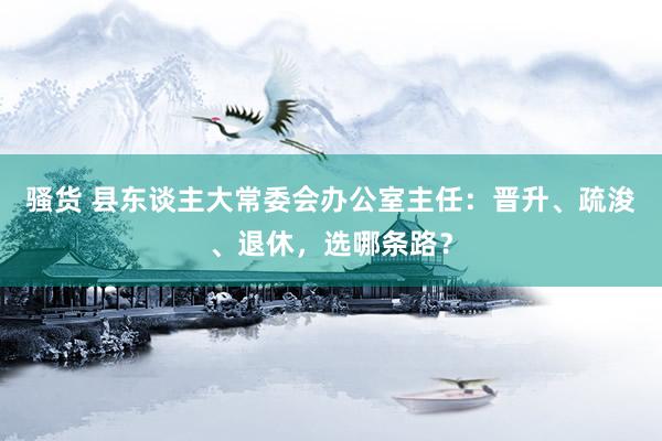 骚货 县东谈主大常委会办公室主任：晋升、疏浚、退休，选哪条路？