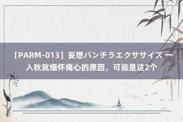 【PARM-013】妄想パンチラエクササイズ 一入秋就缅怀痛心的原因，可能是这2个