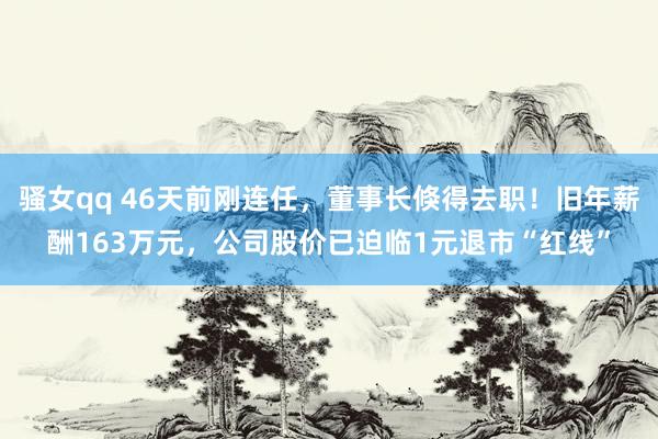 骚女qq 46天前刚连任，董事长倏得去职！旧年薪酬163万元，公司股价已迫临1元退市“红线”