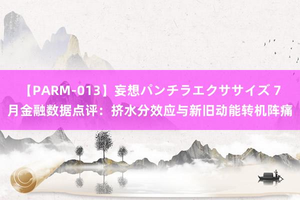 【PARM-013】妄想パンチラエクササイズ 7月金融数据点评：挤水分效应与新旧动能转机阵痛