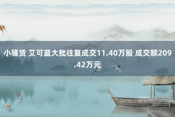 小骚货 艾可蓝大批往复成交11.40万股 成交额209.42万元