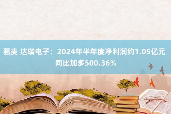 骚麦 达瑞电子：2024年半年度净利润约1.05亿元 同比加多500.36%