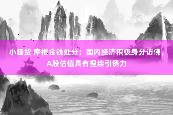 小骚货 摩根金钱处分：国内经济积极身分访佛，A股估值具有捏续引诱力