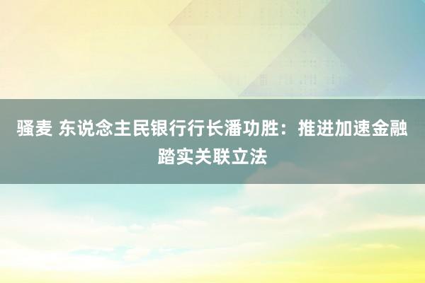 骚麦 东说念主民银行行长潘功胜：推进加速金融踏实关联立法