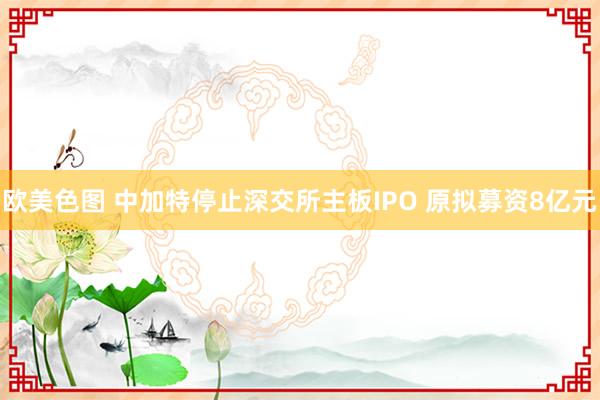 欧美色图 中加特停止深交所主板IPO 原拟募资8亿元