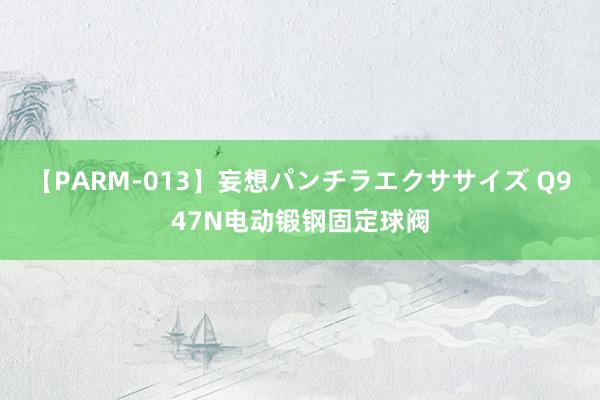 【PARM-013】妄想パンチラエクササイズ Q947N电动锻钢固定球阀