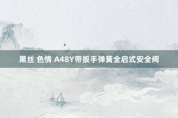 黑丝 色情 A48Y带扳手弹簧全启式安全阀