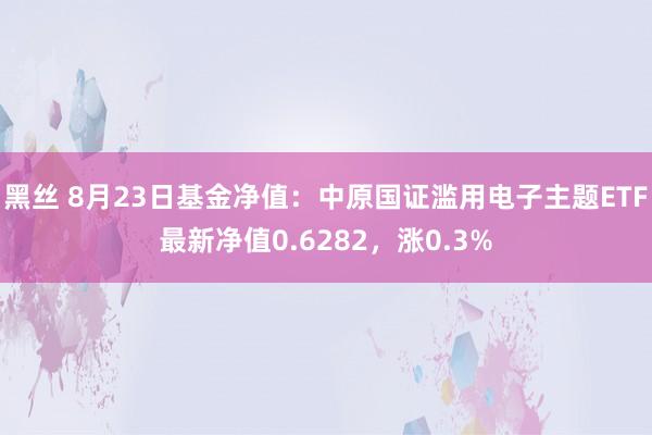 黑丝 8月23日基金净值：中原国证滥用电子主题ETF最新净值0.6282，涨0.3%