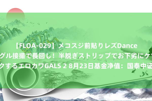 【FLOA-029】メコスジ前貼りレズDance オマ○コ喰い込みをローアングル接撮で長回し！半脱ぎストリップでお下劣にケツをシェイクするエロカワGALS 2 8月23日基金净值：国泰中证钢铁ETF最新净值1.0138，跌0.08%