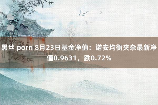 黑丝 porn 8月23日基金净值：诺安均衡夹杂最新净值0.9631，跌0.72%