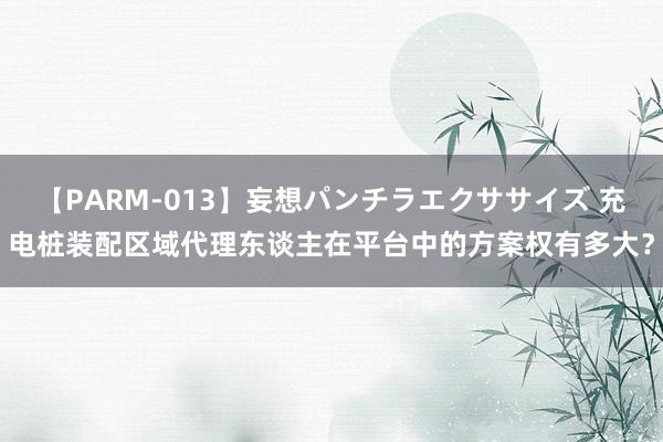 【PARM-013】妄想パンチラエクササイズ 充电桩装配区域代理东谈主在平台中的方案权有多大？