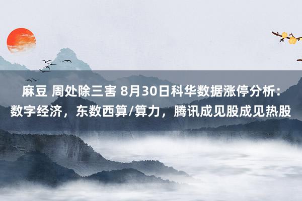 麻豆 周处除三害 8月30日科华数据涨停分析：数字经济，东数西算/算力，腾讯成见股成见热股