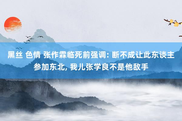 黑丝 色情 张作霖临死前强调: 断不成让此东谈主参加东北， 我儿张学良不是他敌手