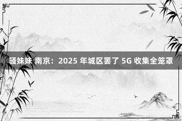 骚妹妹 南京：2025 年城区罢了 5G 收集全笼罩