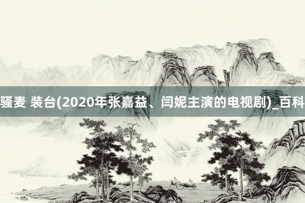 骚麦 装台(2020年张嘉益、闫妮主演的电视剧)_百科