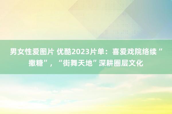 男女性爱图片 优酷2023片单：喜爱戏院络续“撒糖”，“街舞天地”深耕圈层文化