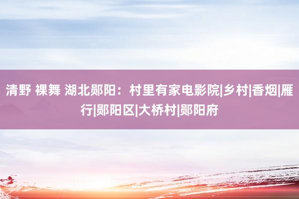 清野 裸舞 湖北郧阳：村里有家电影院|乡村|香烟|雁行|郧阳区|大桥村|郧阳府