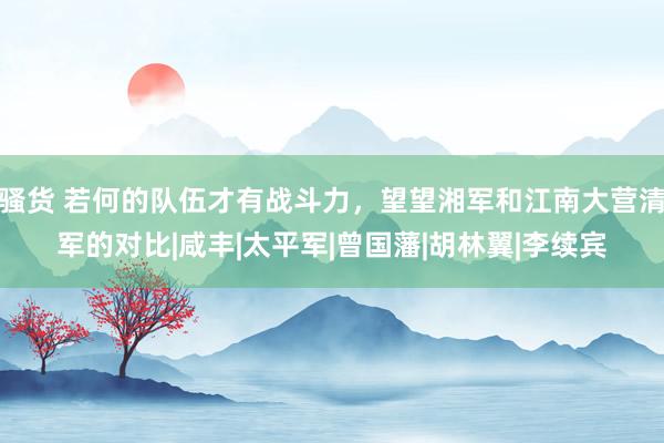 骚货 若何的队伍才有战斗力，望望湘军和江南大营清军的对比|咸丰|太平军|曾国藩|胡林翼|李续宾