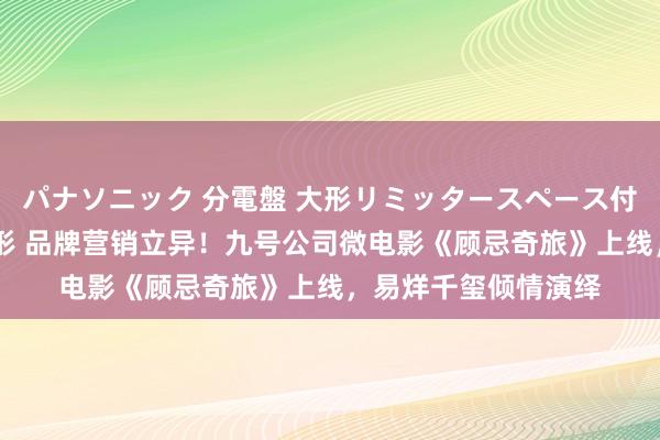 パナソニック 分電盤 大形リミッタースペース付 露出・半埋込両用形 品牌营销立异！九号公司微电影《顾忌奇旅》上线，易烊千玺倾情演绎