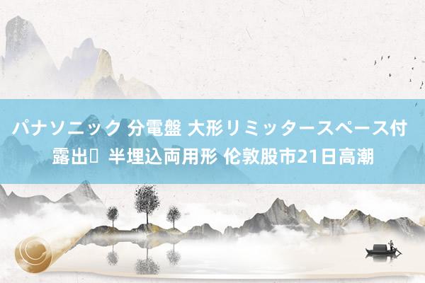 パナソニック 分電盤 大形リミッタースペース付 露出・半埋込両用形 伦敦股市21日高潮